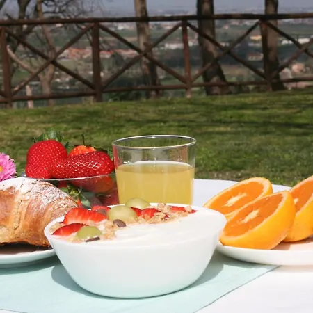 팜스테이 Primequerce 파이스툼