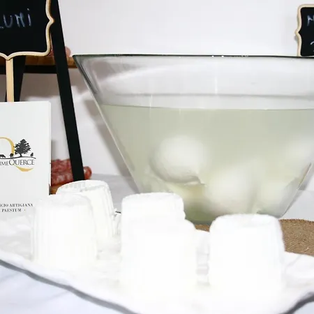 Primequerce Farmház Paestum