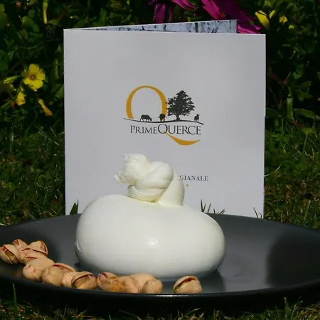 Primequerce Agroturismo Paestum