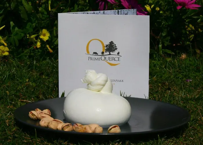 Primequerce مزرعة للإقامة بييسْتوم